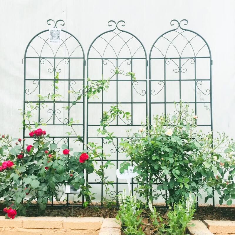 2 Pack Metal Garden Trellis 71" x 19.7" Rustproof Trellis for Climbing